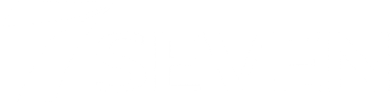 Seven Gestión Financiera