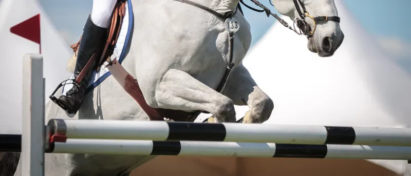 Caballo y jinete en pleno salto sobre una barra en una pista de hípica.